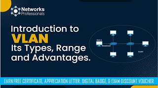What Is Virtual Local Area Network (VLAN) ?
