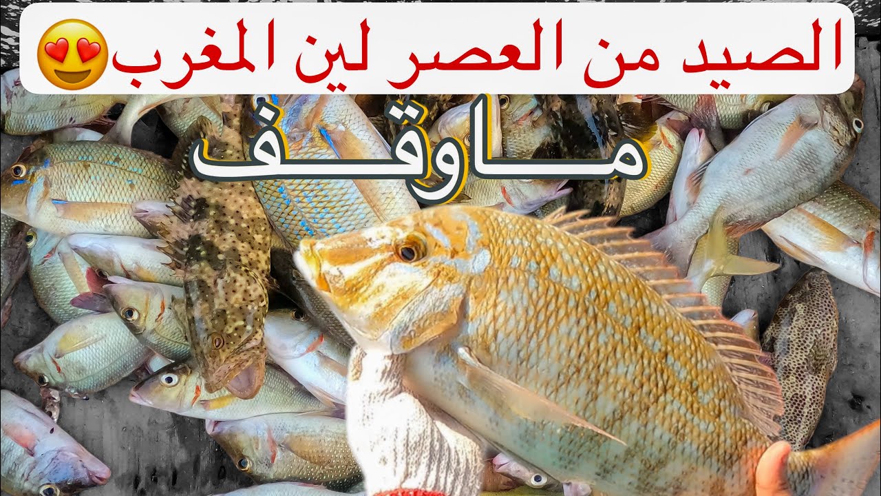 من العصر نسحب لين المغرب الصيد ماوقف🥰