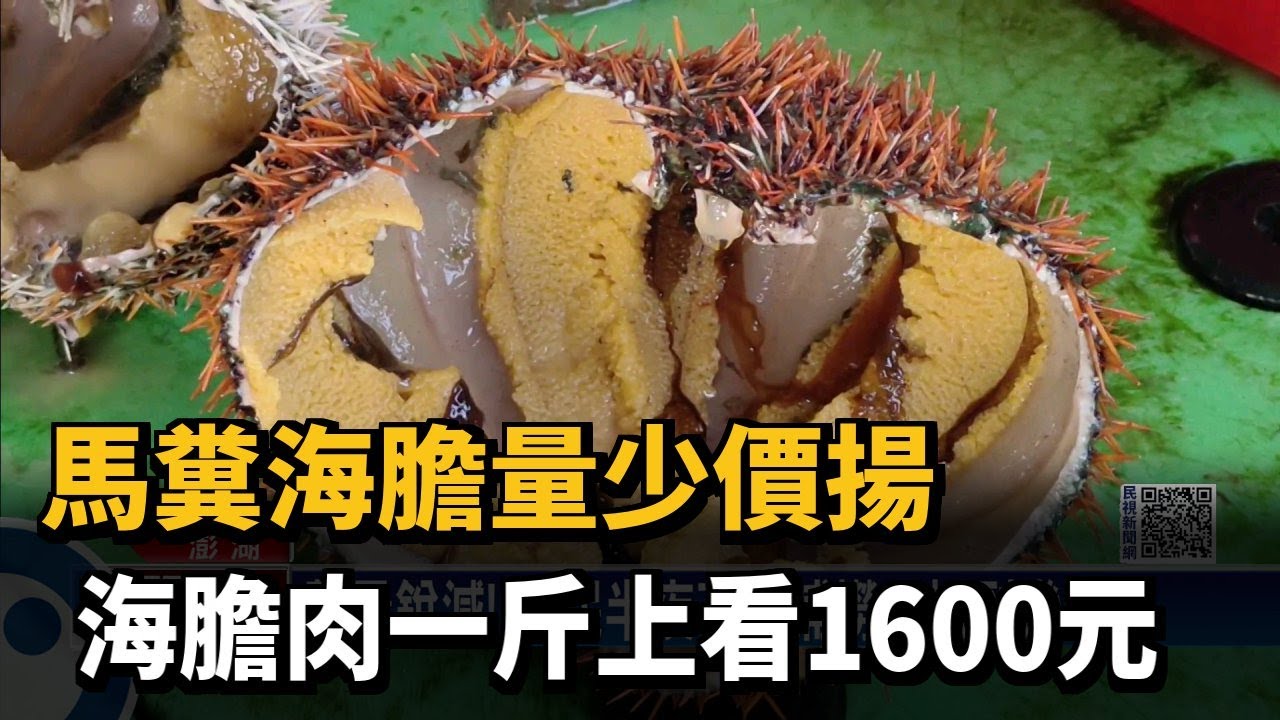 馬糞海膽量少價揚海膽肉一斤上看1600元 民視新聞網