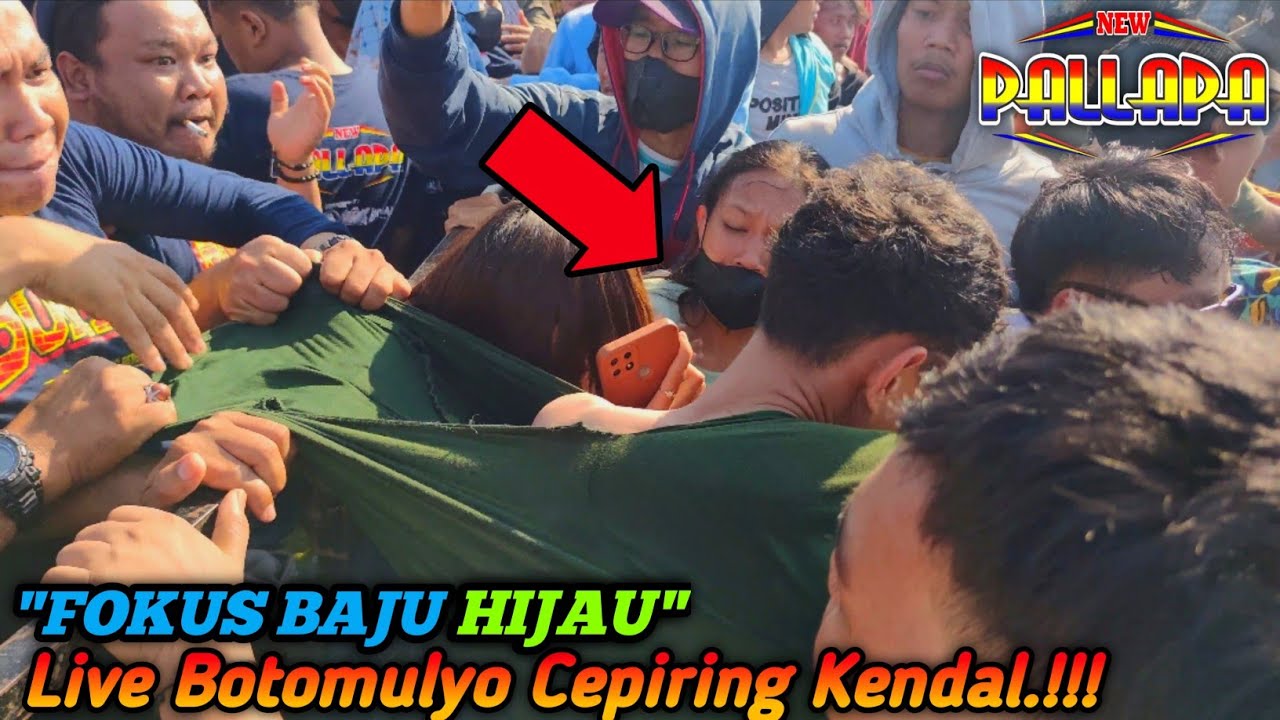 Detik-Detik Penonton Gelutan.!!! New Pallapa Live Botomulyo Kendal || BOMBER ( Botomulyo Bersatu )