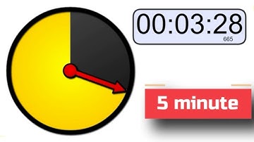 5 minute timer | 5 minute countdown | 300 seconds | 5 minutes timer