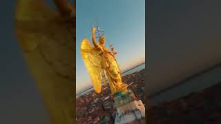 VENICE | Cinematic FPV #viralvideo