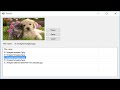 C# Tutorial - How to Save and Retrieve Image from Database | FoxLearn