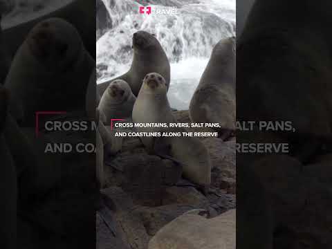 Video: Namaqua rahvuspark: täielik juhend