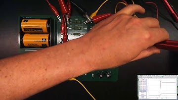 RL Circuits Part II: Quantitative Modeling