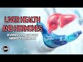 Liver health  hormones everything you need to know