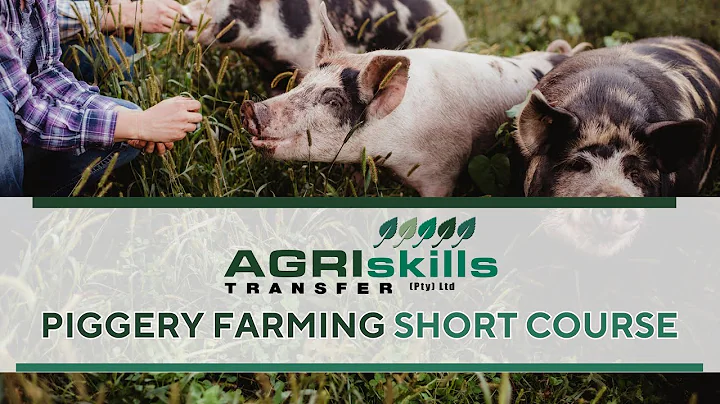 Piggery Farming Short Course | Learn to farm with pigs in South Africa