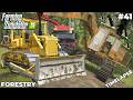 RECOVERING A FORGOTTEN EXCAVATOR DEEP IN THE WOODS RECOVERING A FORGOTTEN EXCAVATOR DEEP IN THE WOODS