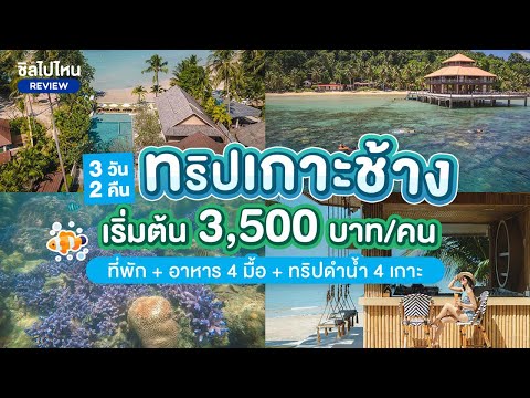 รีวิวทริปเที่ยวเกาะช้าง 3 วัน 2 คืน ที่พัก + อาหาร 4 มื้อ + ทริปดำน้ำ 4 เกาะ เริ่มต้น 3,500 บาท/คน