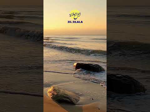 Jil Jilala Officiel Zaraa Al Rih جيل جيلالة Reels Shorts Jil Jilala جيل جيلالة Music 