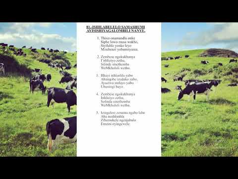 Shembe: Zekhethelo Nxumalo
