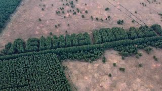 видео: Курганская область. Октябрь 2025 картинка: Курганская область. Октябрь 2025