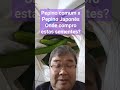 Pepino comum x pepino japons onde compro ests sementes dicas shorts