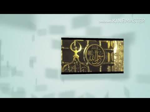 مولاي طه الزين 