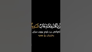 سورة فاطرالقارئ عمر عبدالله كرومات شاشه سوداء قران كريم