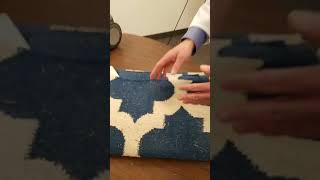 Clothes Moths Explained