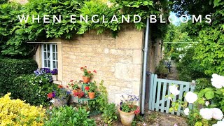 When England Blooms
