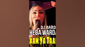 Chaba Werda Chakam Ya Taalam Ft Dj Badro Shortvideo 