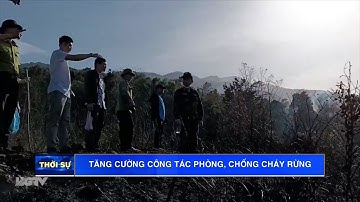 TĂNG CƯỜNG CÔNG TÁC PHÒNG, CHỐNG CHÁY RỪNG