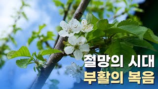 [메시지:ON] 절망의 시대 부활의 복음 I 이규현 담임목사