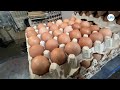 Vendedores en Mercado Central reportan leve aumento de precio-