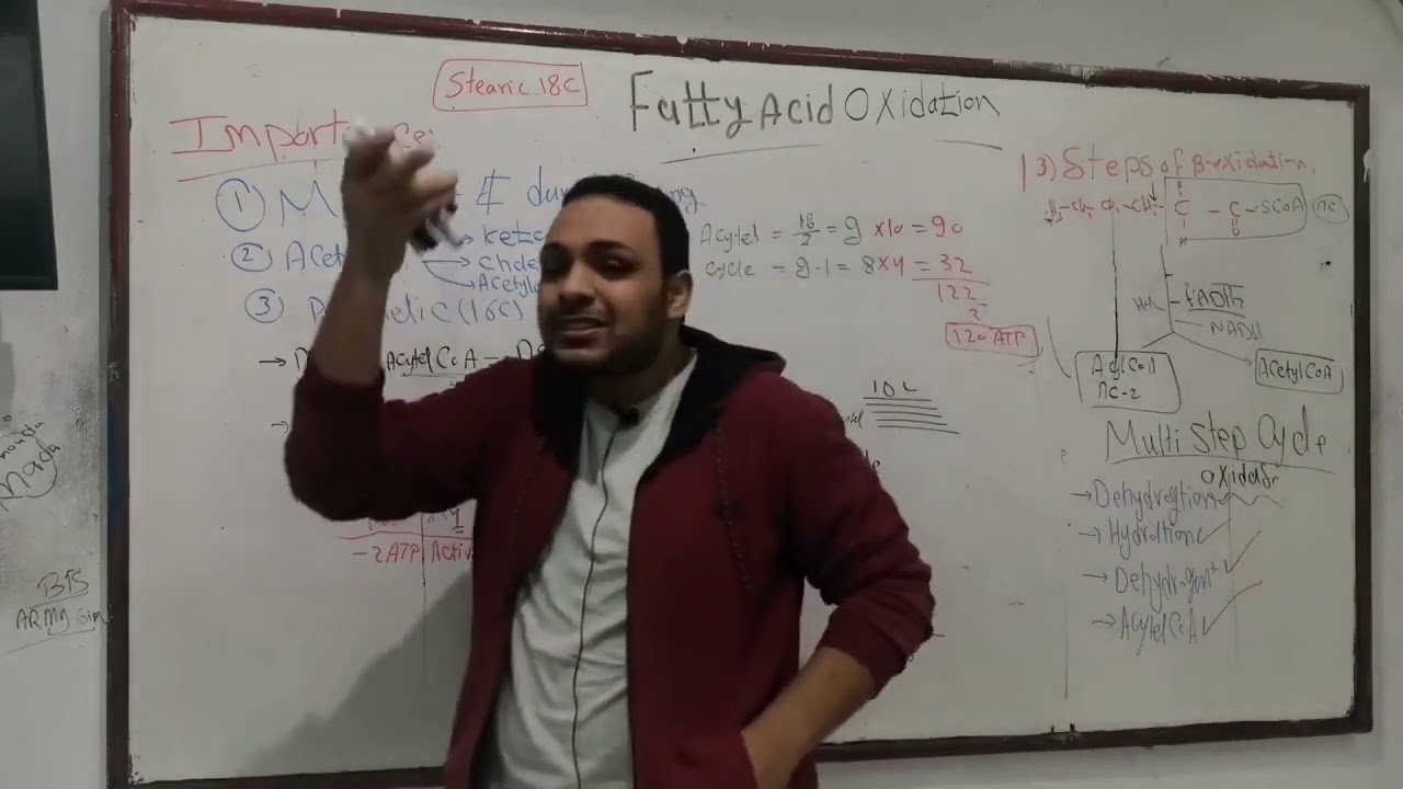 2- Fatty acid Beta oxidation part 2