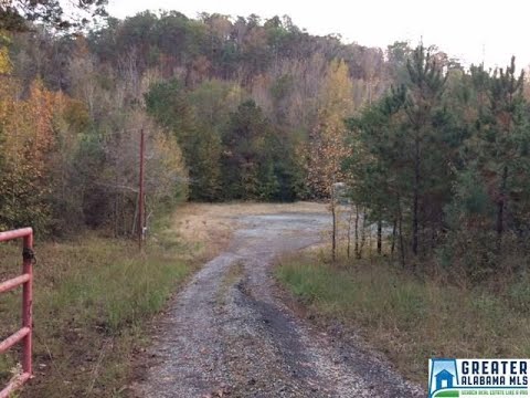 8648 GROUNDHOG RD, Adger, AL home video tour