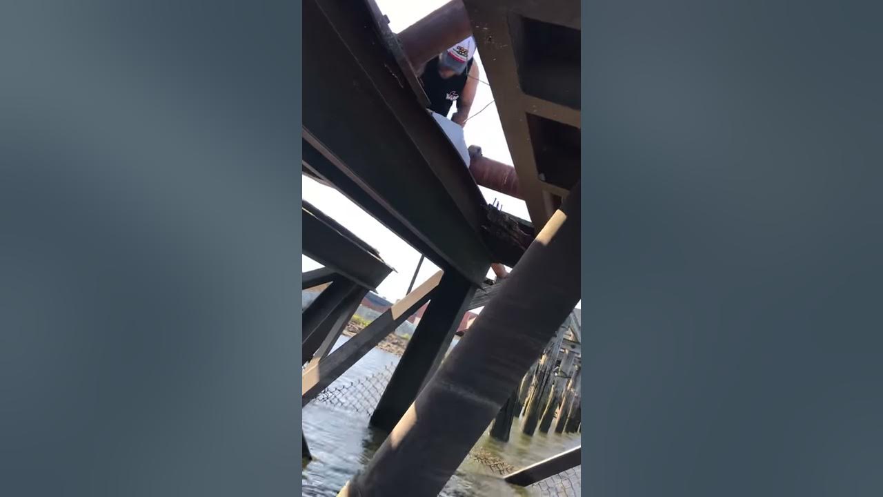 Foreign china man pooping in the river YouTube