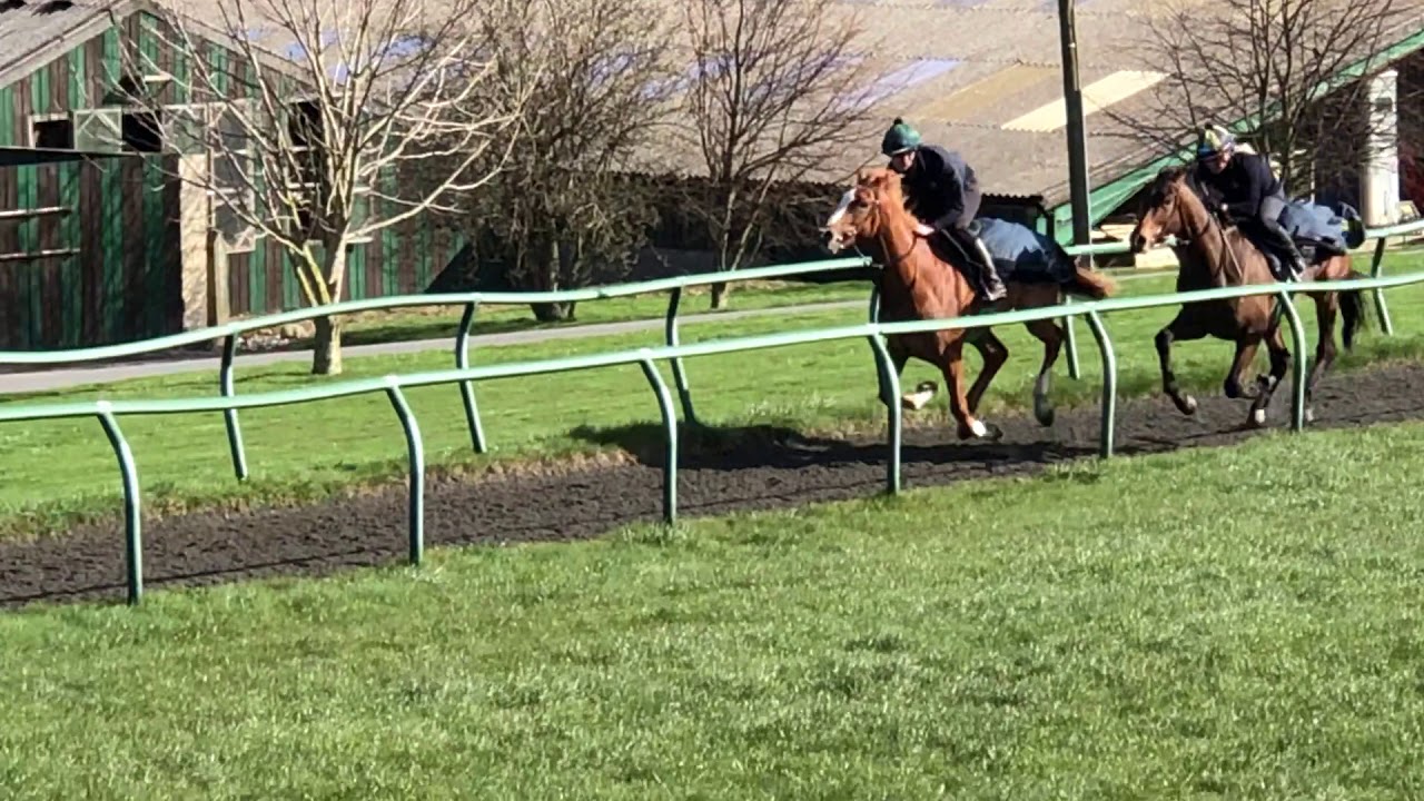BRECK'S SELECTION Gallop on 24th March