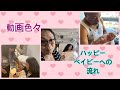 ハッピーベイビー