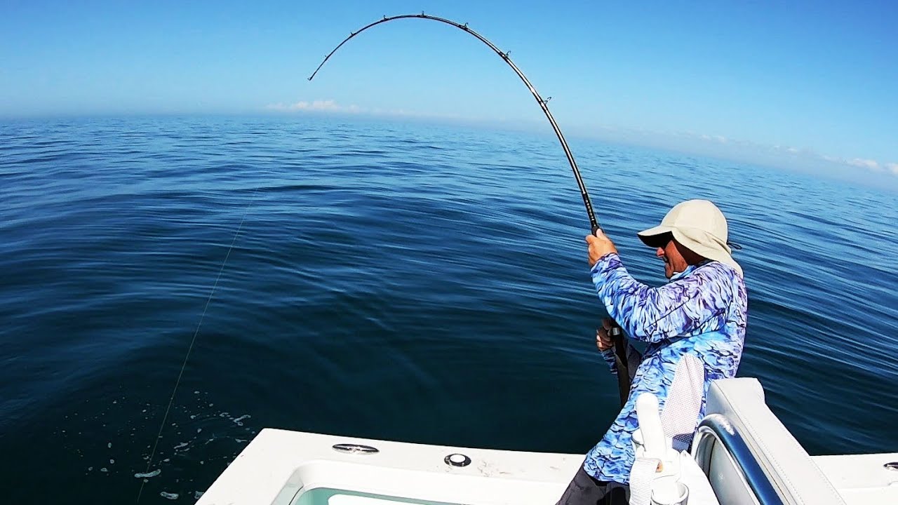 curly tail fishing lure 1,000