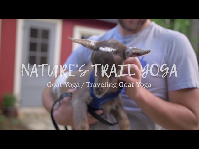 Nature's Trail Yoga