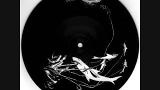 ampere/daΓ―tro - split 7