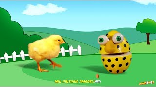 Vignette de la vidéo "O Pintinho Piu - Amigovos  Meu Patinho Amarelinho"