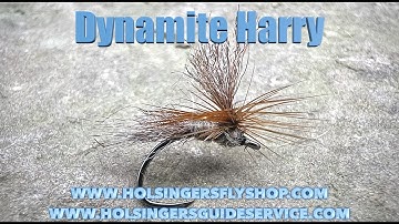 Dynamite Harry, Holsinger