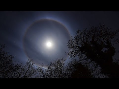 დედამიწაზე ბევრი სახეობის ადამიანია... ყველა ადამიანს როდი აქვს ერთნაირი სული?