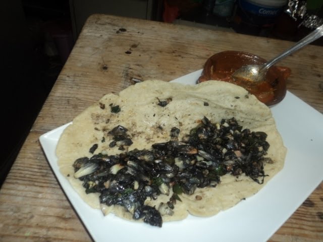Receta De Quesadillas De Huitlacoche Quesadillas De Huitlacoche Lasdeliciasdelupita Youtube