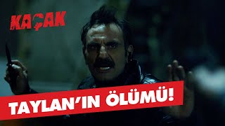 Serhat, Taylanı Öldürdü - Kaçak 11. Bölüm