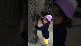 baby girl eating elephant milk