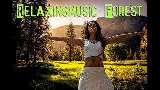 Paradise: Beautiful Relaxing Music with Piano, Cello, Duduk, Flute \& Violin