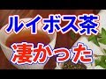 【驚愕】ルイボスティー、5つの健康効果と飲み方！今すぐ確認！