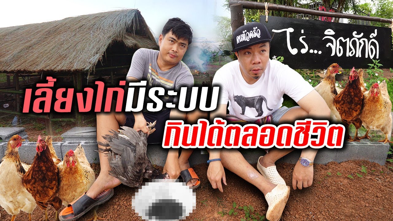 เลี้ยงไก่แบบมีระบบ! ทำยังไงถึงจะมีไก่กินตลอดชีวิต?!!