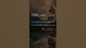 وَإِذَا سَأَلَكَ عِبَادِي عَنِّي فَإِنِّي قَرِيبٌ)سورة البقرة )احمد العجمي #quran_karim #قران #تيك