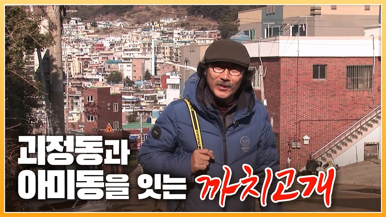 괴정동과 아미동을 잇는 '까치고개'의 2013년도 모습.. 아미동 화장터에는 냄새 때문에 까치가 모여 들었다  [ 포토에세이골목 ] 20130215