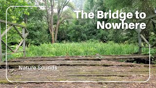 Echoes of Time – 5 Minutes of Pure Nature Sounds