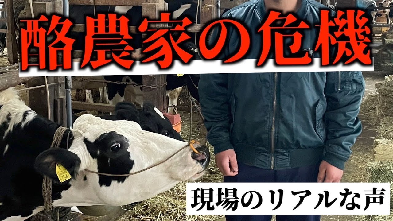 ▼酪農協の組織問題 酪農業」の倒産動向（2025年上半期）｜株式会社 帝国データバンク[TDB]