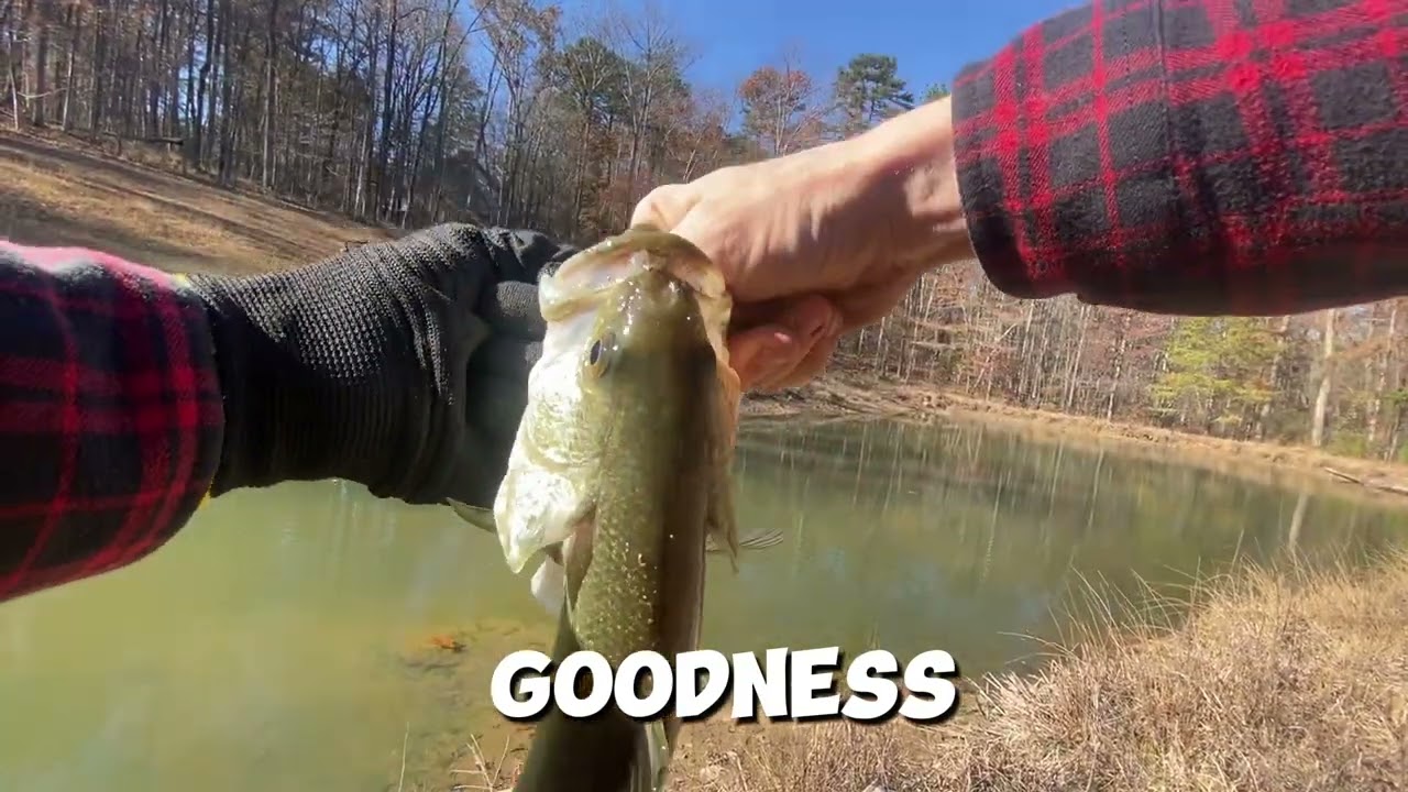 Top Bass Fishing Expert Shares Secret Method for Catching Dinks