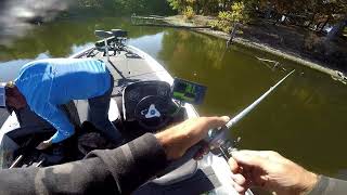 Early Fall Transition Baits that work Topwater Buzzbait Googan Hummer gets bit