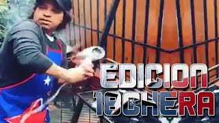 Solo pasa en Chile Edición Dieciochera || Elchileno2.0