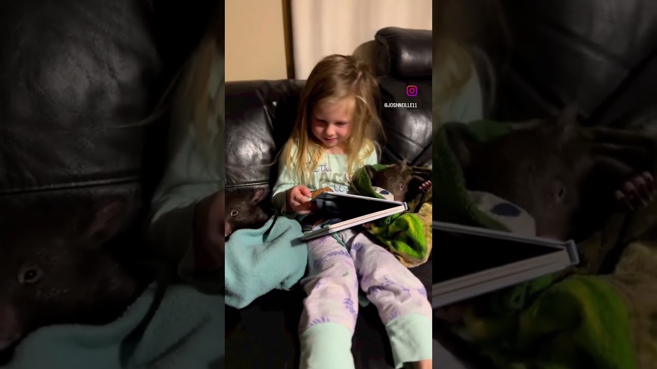 Лучшая компания #мило #🥰🥰🥰 #ржунимагу #дети #смешно #смешныевидео